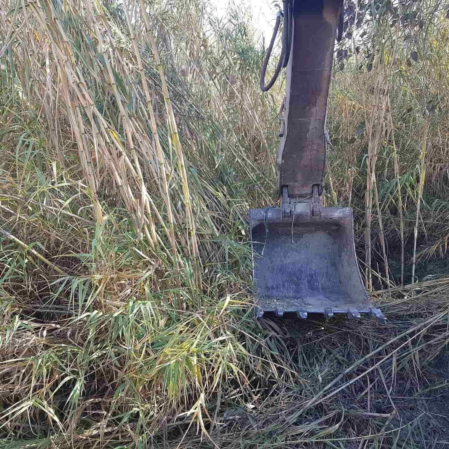 Cuchara excavadora en medio de vegetación alta, densa, verde y marrón; claro.