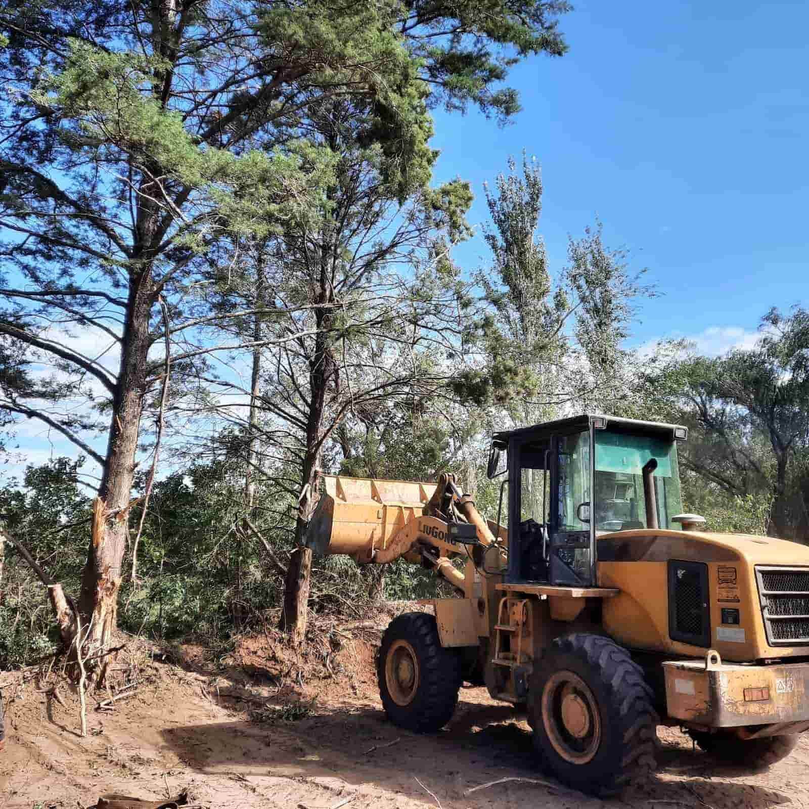 Una excavadora amarilla talando árboles en un día soleado.