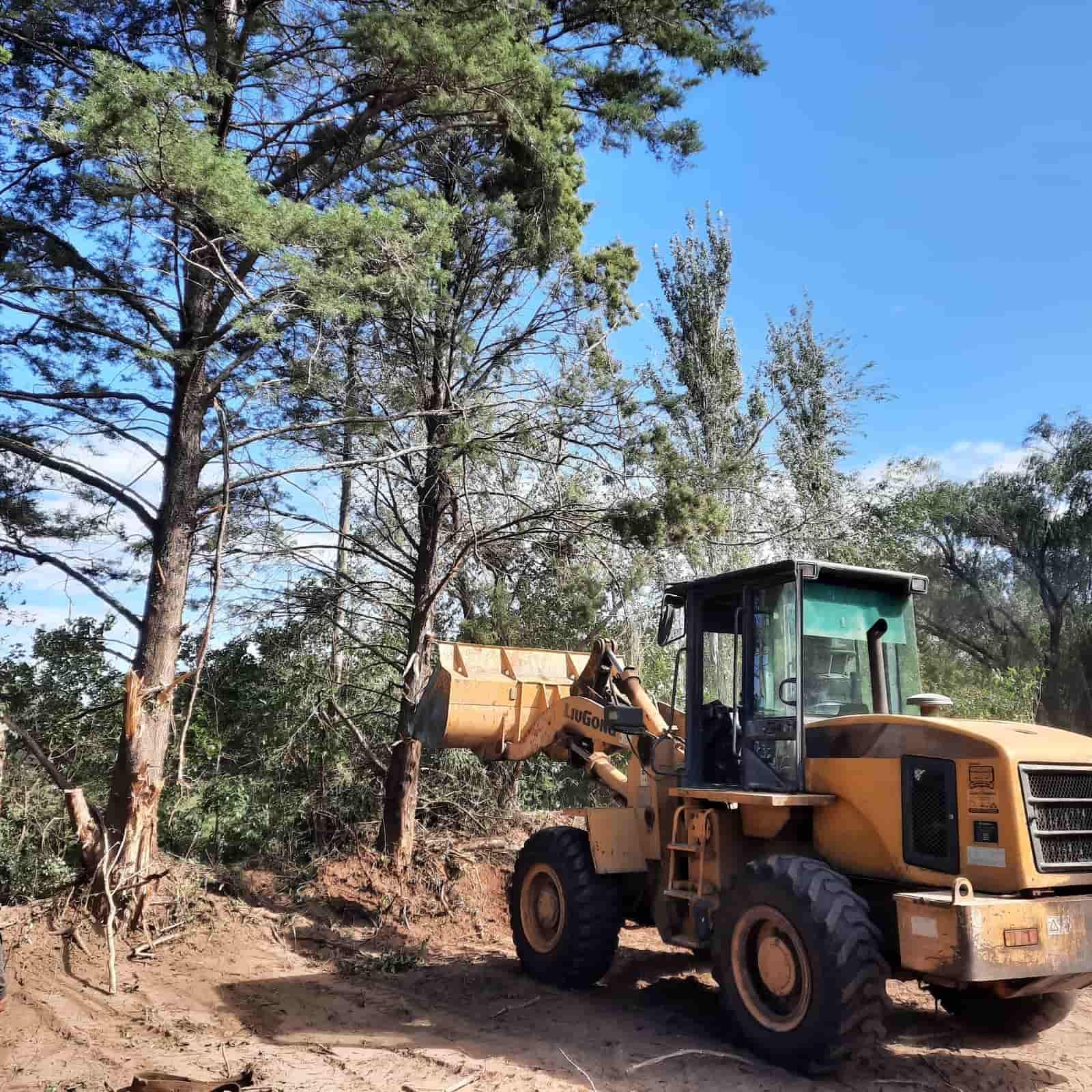 Una excavadora amarilla talando árboles en un día soleado.