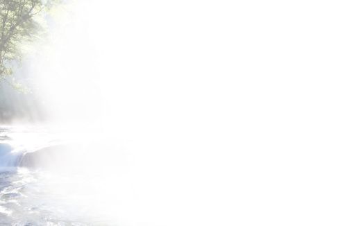 Bestattungsinstitut KOCH GmbH