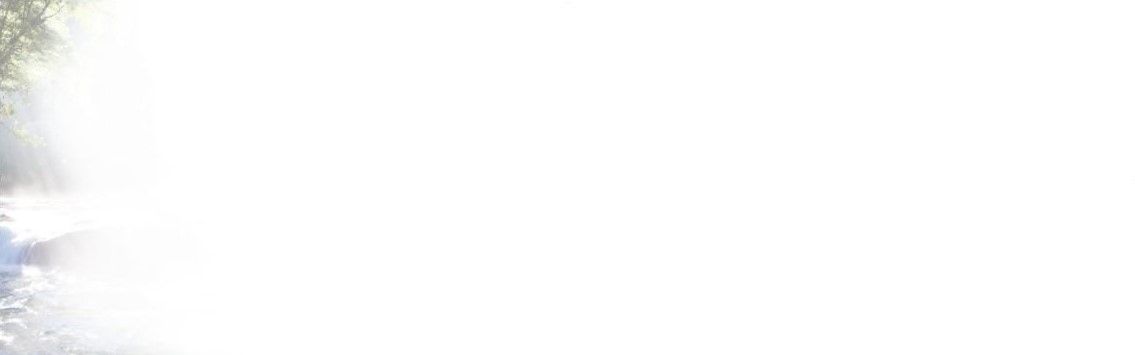 Bestattungsinstitut KOCH GmbH