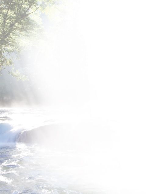 Bestattungsinstitut KOCH GmbH