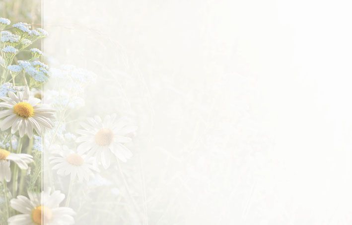 Bestattungsinstitut KOCH GmbH