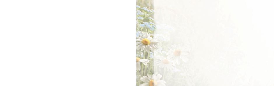 Bestattungsinstitut KOCH GmbH