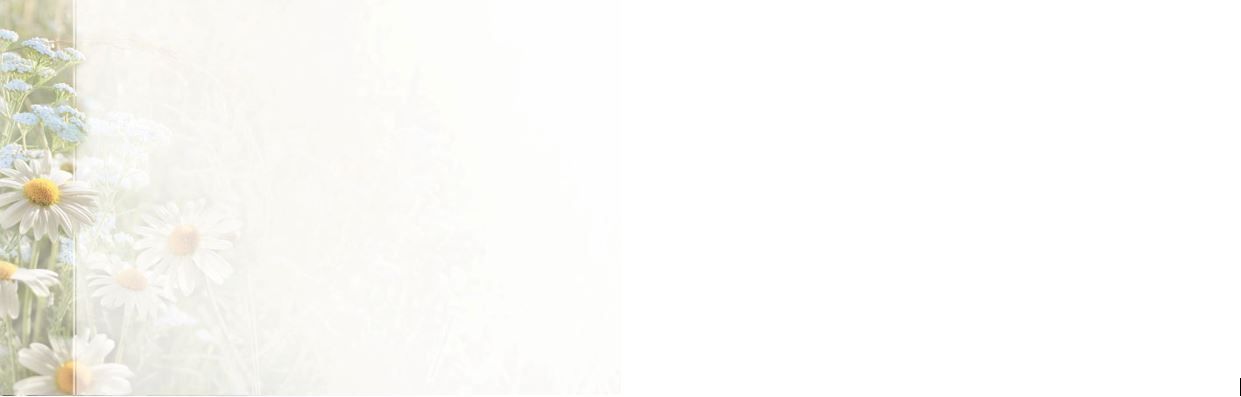 Bestattungsinstitut KOCH GmbH