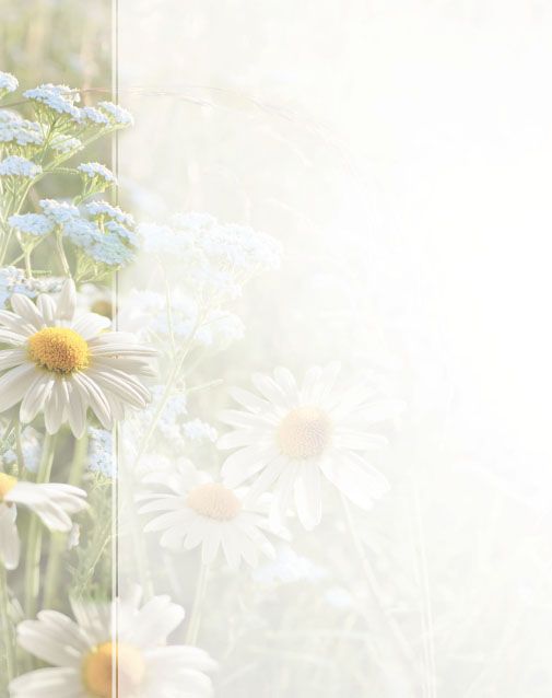 Bestattungsinstitut KOCH GmbH