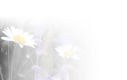 Bestattungsinstitut KOCH GmbH