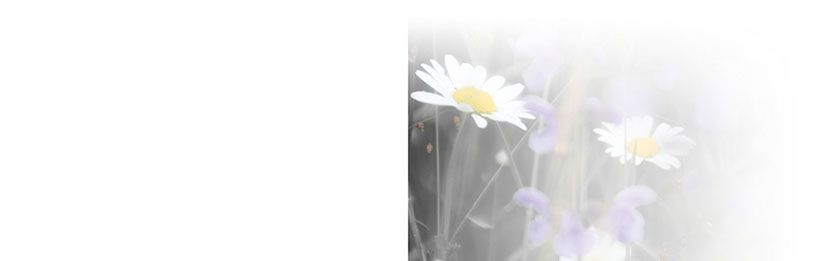 Bestattungsinstitut KOCH GmbH