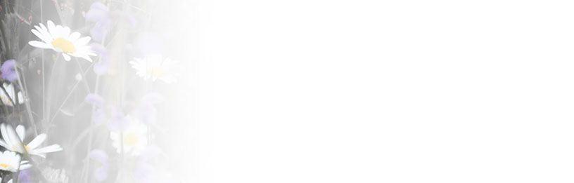 Bestattungsinstitut KOCH GmbH