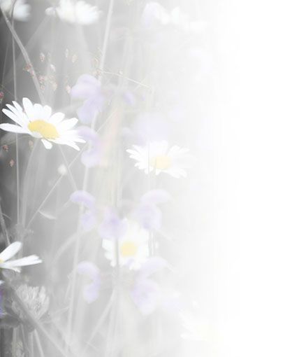 Bestattungsinstitut KOCH GmbH