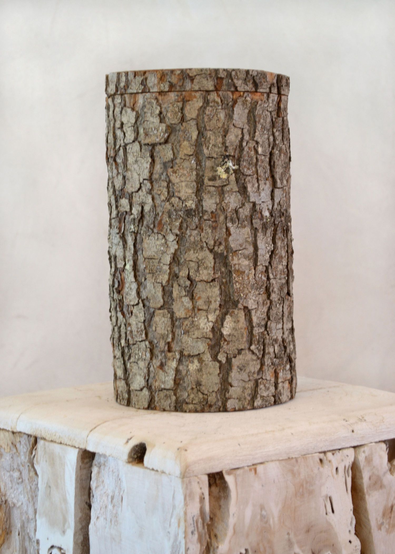 Bestattungsinstitut KOCH GmbH