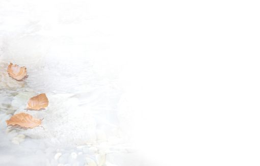 Bestattungsinstitut KOCH GmbH