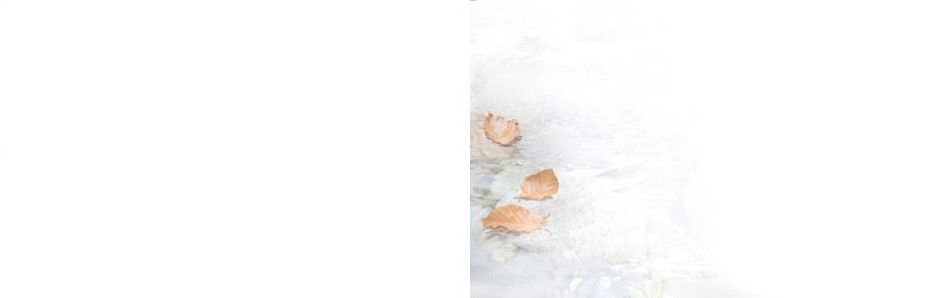 Bestattungsinstitut KOCH GmbH