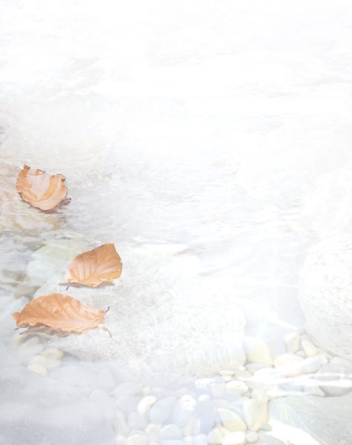 Bestattungsinstitut KOCH GmbH