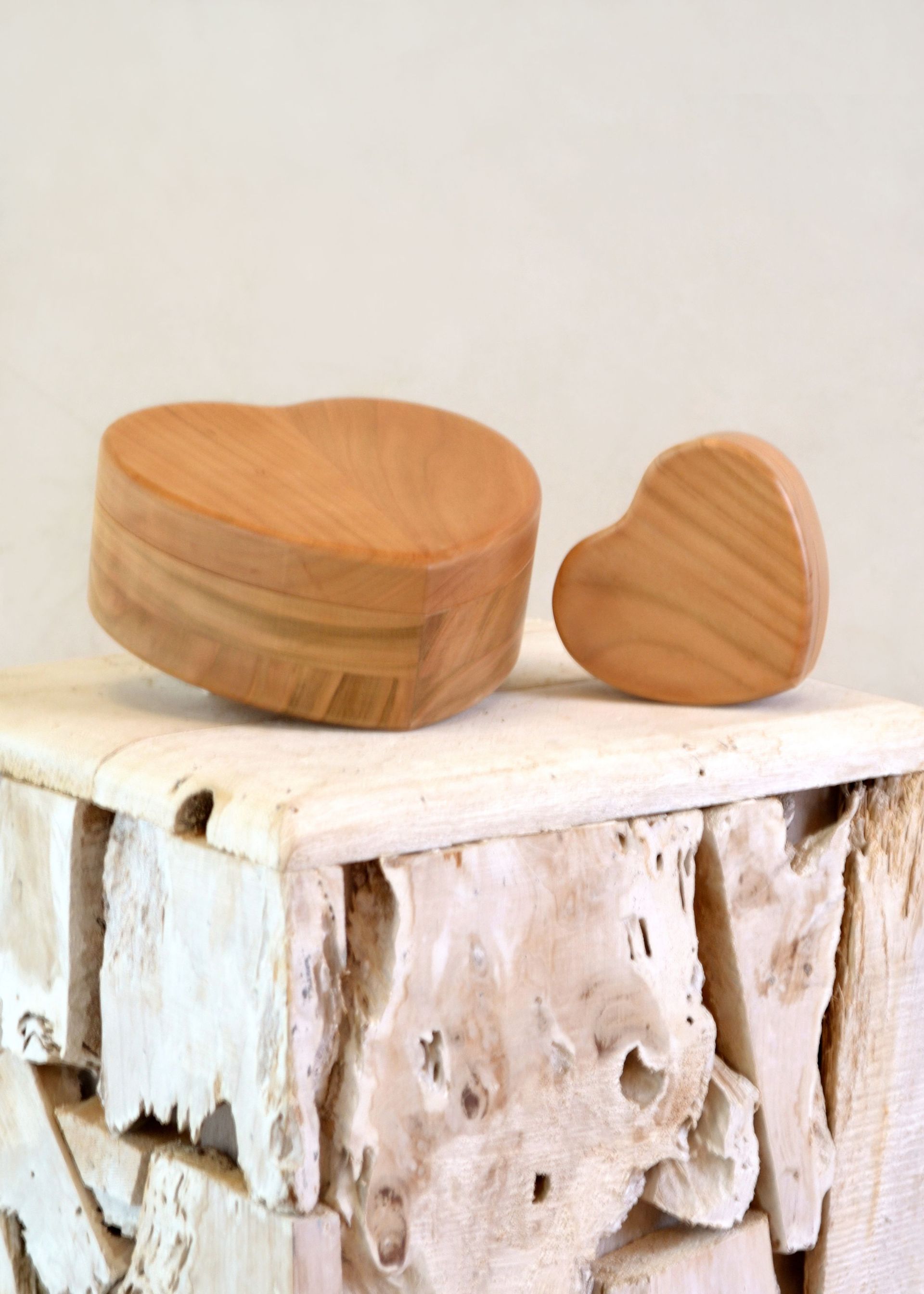 Bestattungsinstitut KOCH GmbH