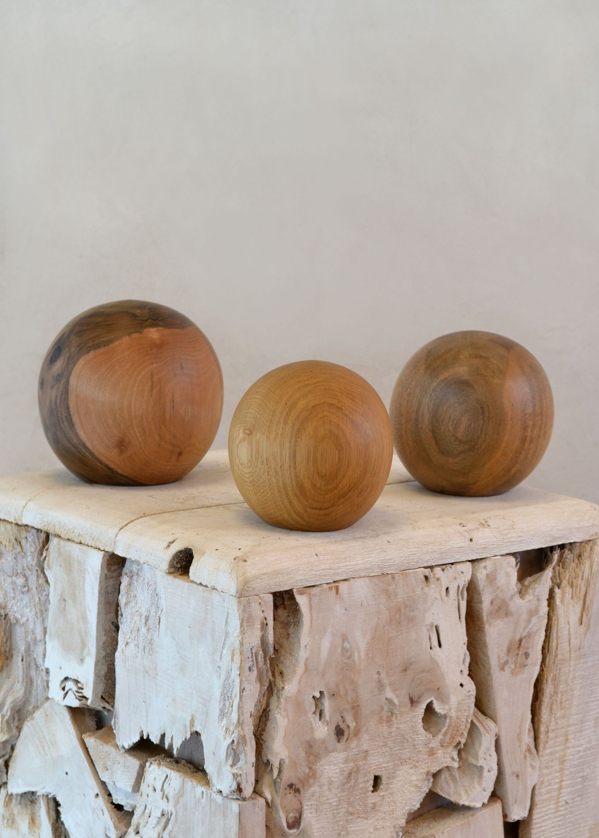 Bestattungsinstitut KOCH GmbH