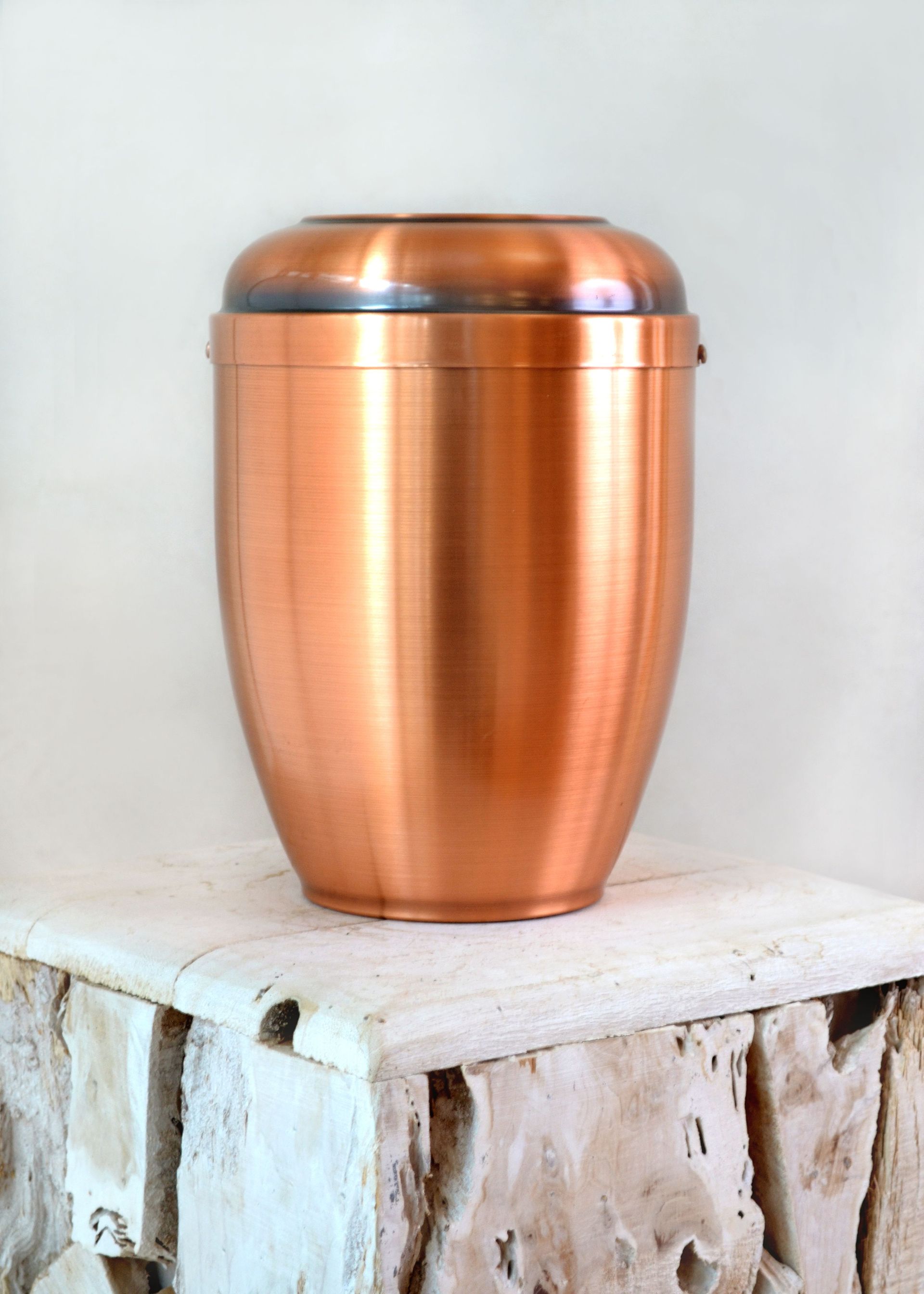 Bestattungsinstitut KOCH GmbH