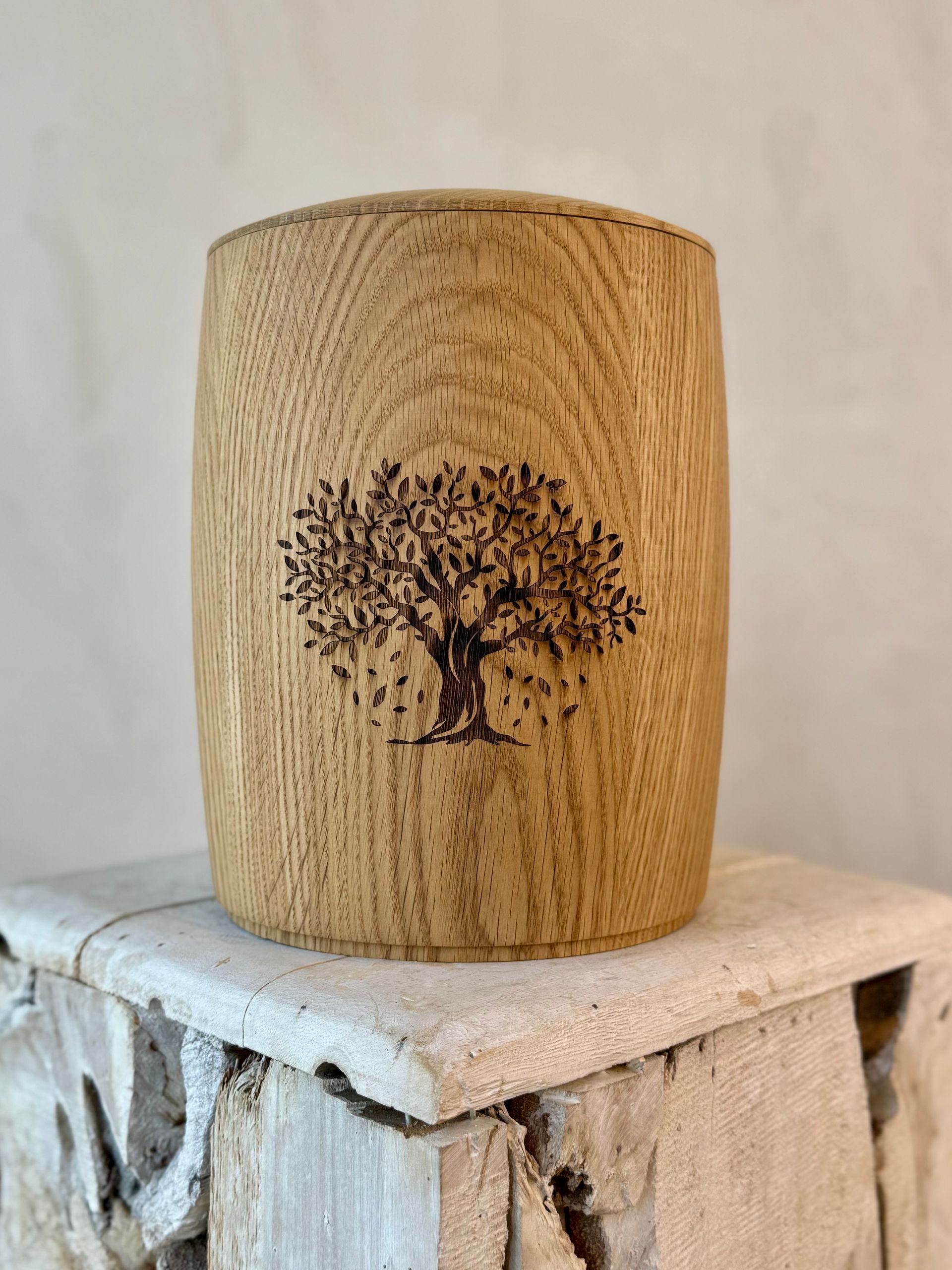 Bestattungsinstitut KOCH GmbH