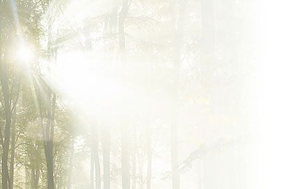 Bestattungsinstitut KOCH GmbH