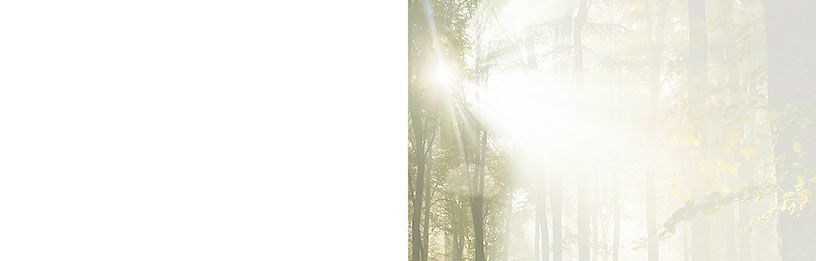 Bestattungsinstitut KOCH GmbH