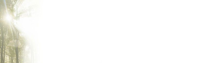 Bestattungsinstitut KOCH GmbH