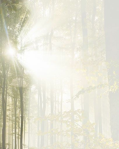 Bestattungsinstitut KOCH GmbH