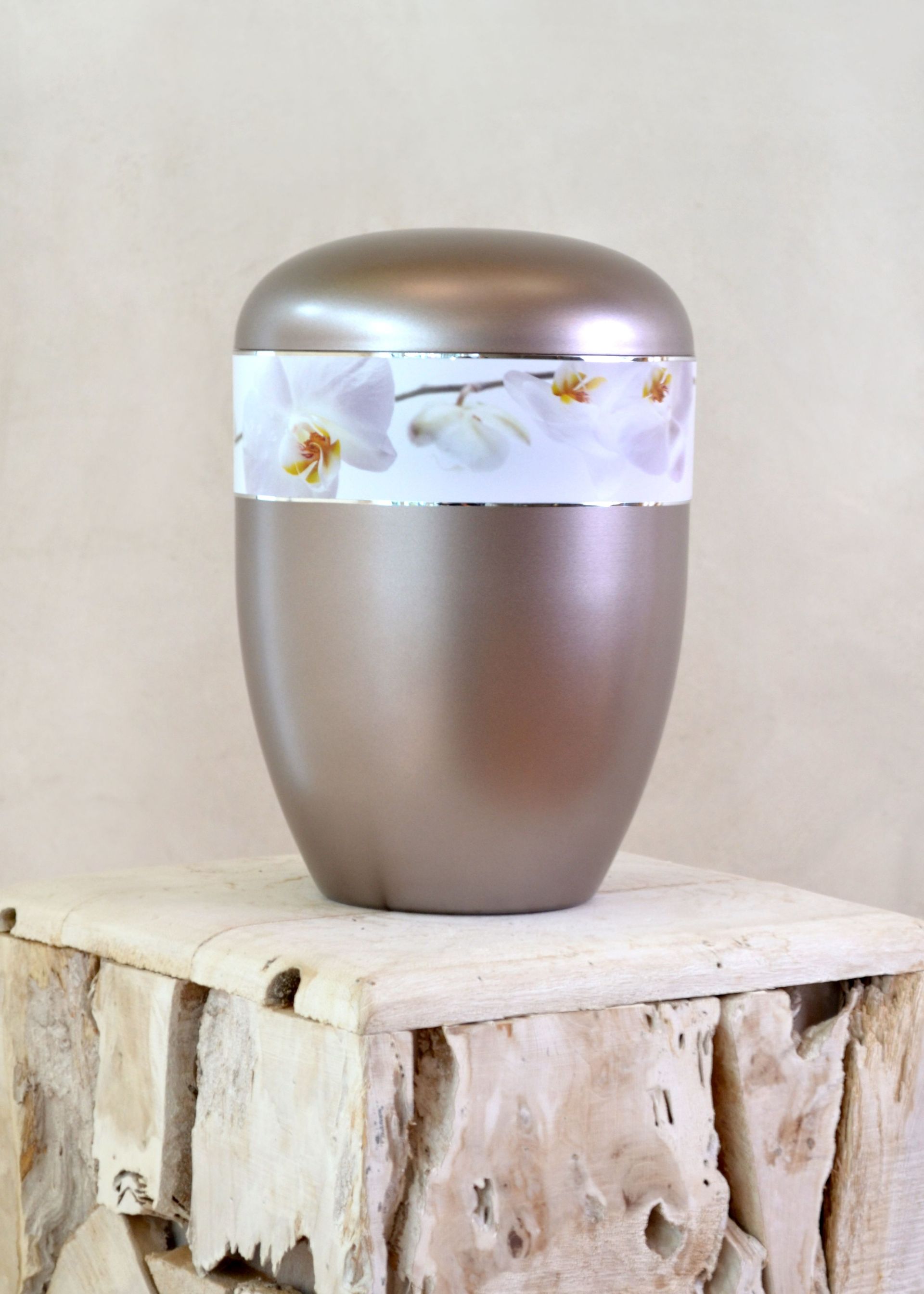 Bestattungsinstitut KOCH GmbH