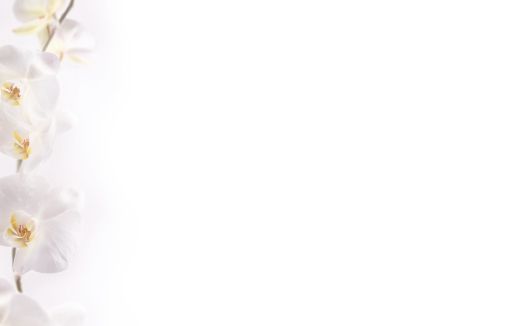 Bestattungsinstitut KOCH GmbH