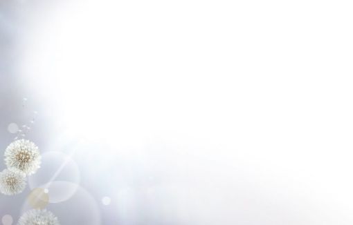 Bestattungsinstitut KOCH GmbH