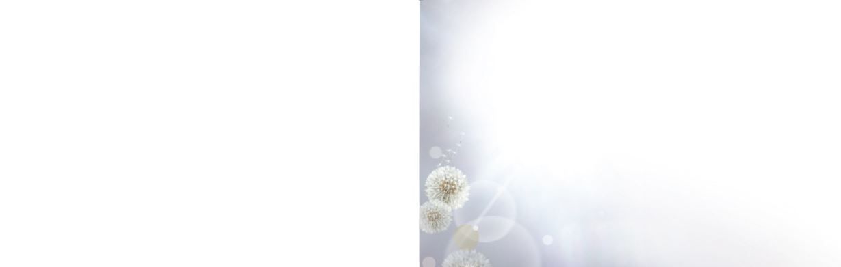 Bestattungsinstitut KOCH GmbH