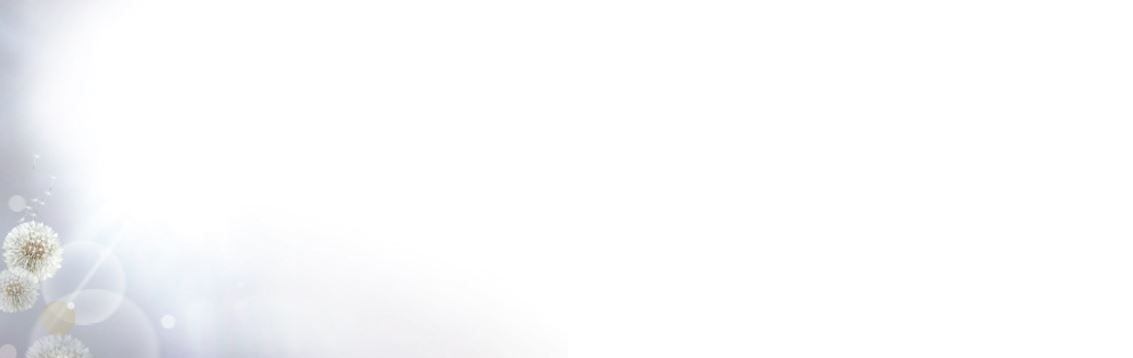 Bestattungsinstitut KOCH GmbH