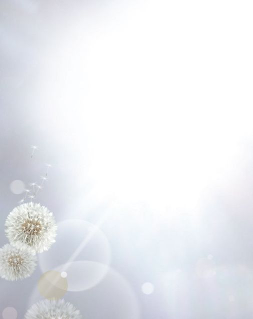 Bestattungsinstitut KOCH GmbH