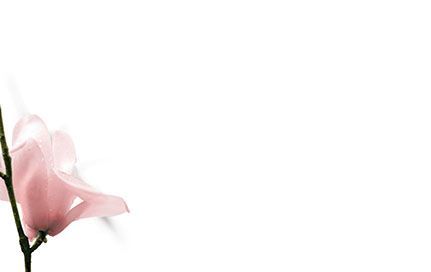 Bestattungsinstitut KOCH GmbH