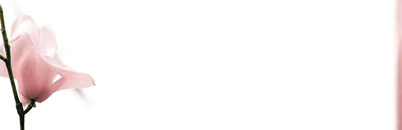 Bestattungsinstitut KOCH GmbH