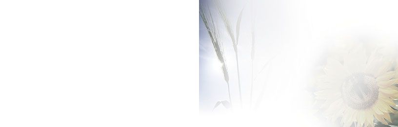 Bestattungsinstitut KOCH GmbH