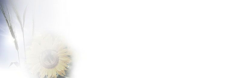 Bestattungsinstitut KOCH GmbH