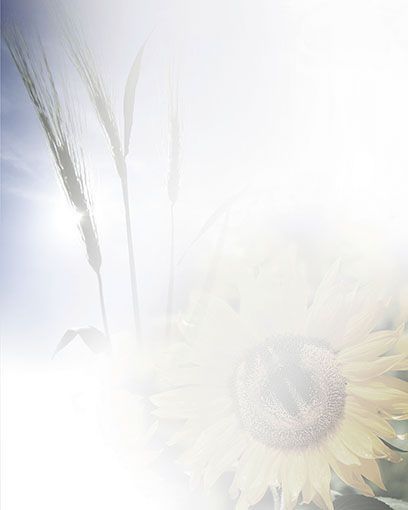 Bestattungsinstitut KOCH GmbH