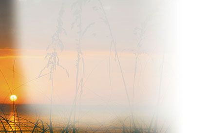 Bestattungsinstitut KOCH GmbH