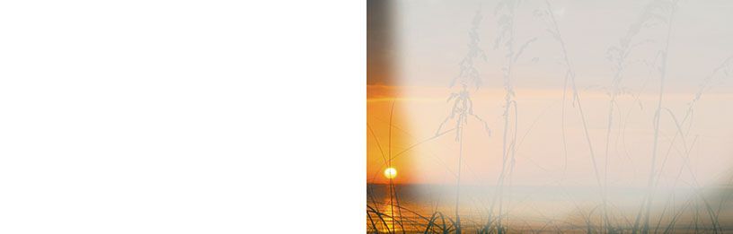 Bestattungsinstitut KOCH GmbH