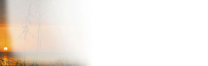 Bestattungsinstitut KOCH GmbH