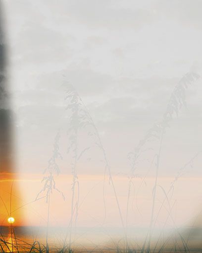 Bestattungsinstitut KOCH GmbH