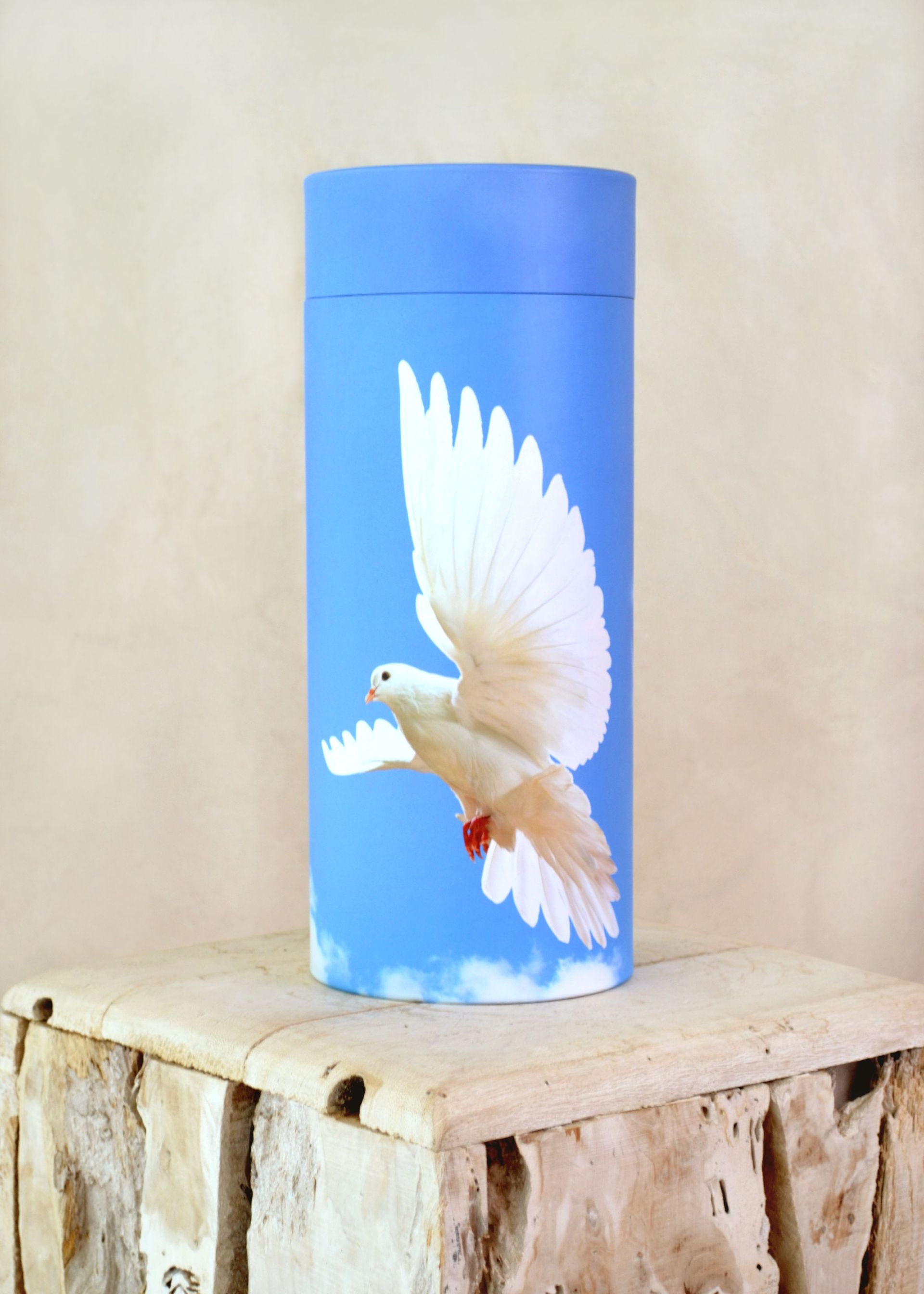 Bestattungsinstitut KOCH GmbH