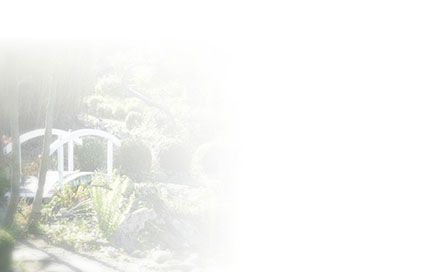 Bestattungsinstitut KOCH GmbH