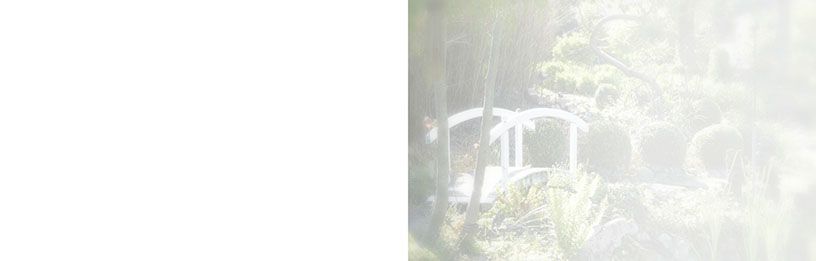 Bestattungsinstitut KOCH GmbH