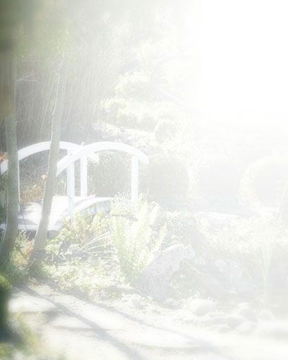 Bestattungsinstitut KOCH GmbH