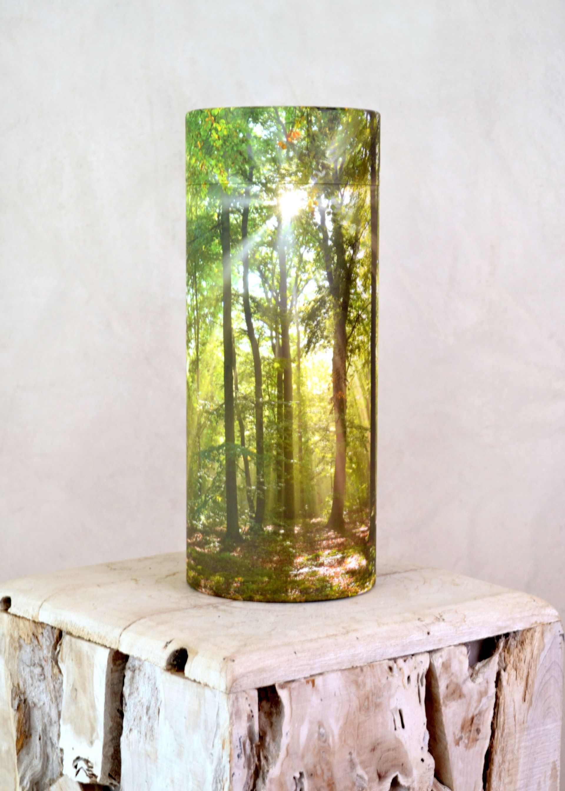 Bestattungsinstitut KOCH GmbH