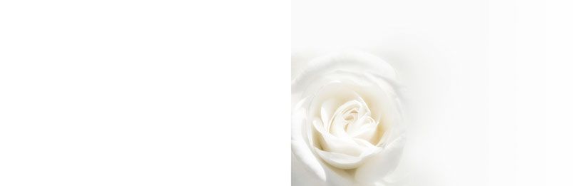 Bestattungsinstitut KOCH GmbH