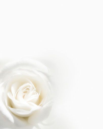 Bestattungsinstitut KOCH GmbH