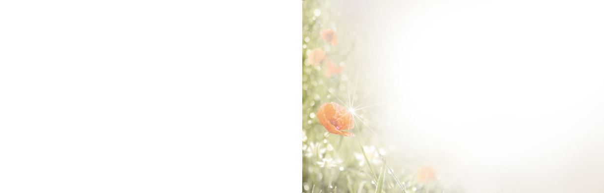 Bestattungsinstitut KOCH GmbH