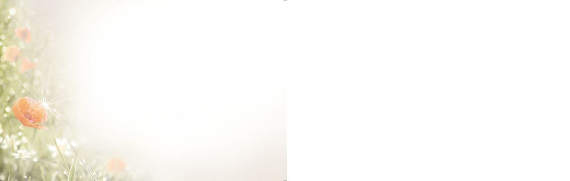 Bestattungsinstitut KOCH GmbH